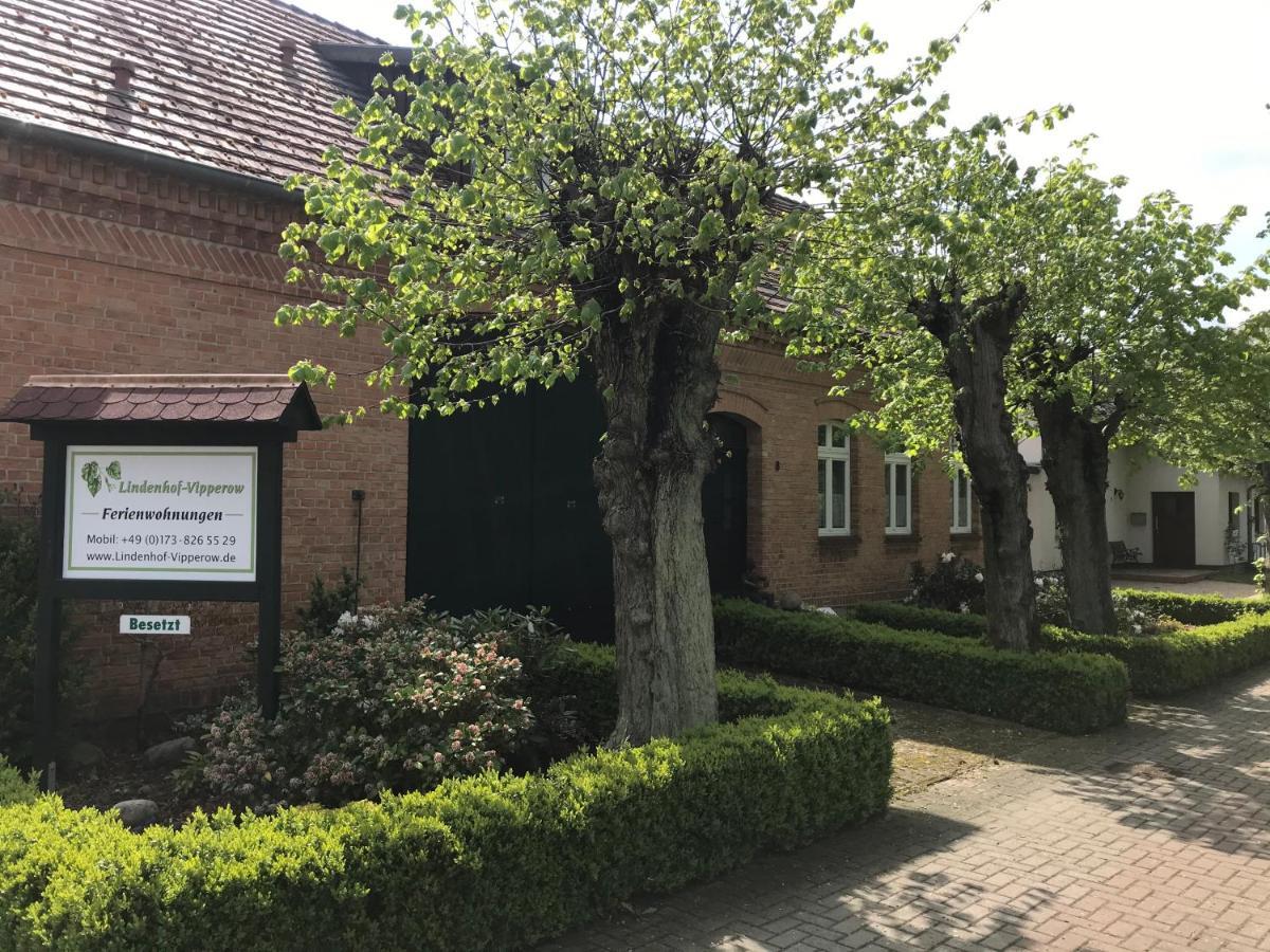 Lindenhof Wohnung 2, Erdgeschoss Vipperow Εξωτερικό φωτογραφία